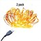 32ft USB Fairy String Lights — 100 LEDs on Bendable Natural Copper Wire